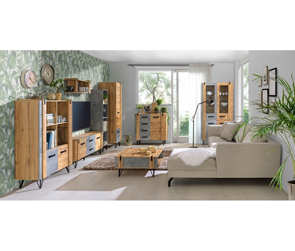 Schrank-RTV Lofter 07