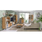 Schrank-RTV Lofter 07