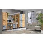 Schrank-RTV Lofter 07