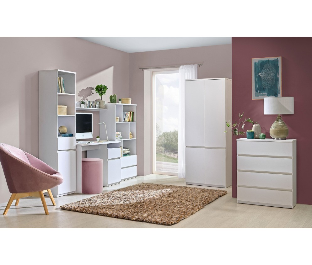 Schrank 4D Ar 01 2 Farben