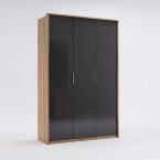 Schrank Laura 3D 139